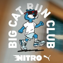 Big Cat Run 2025